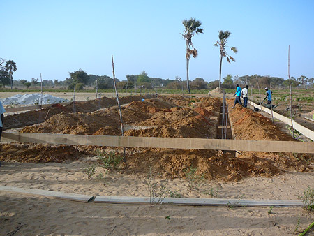 Senegal